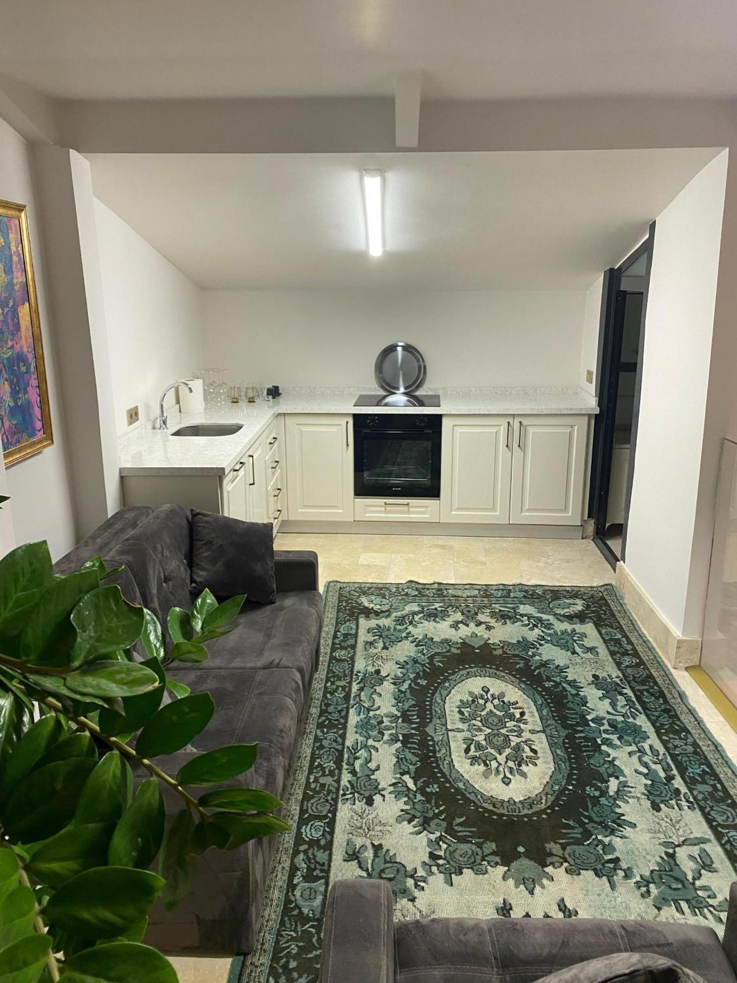 Ab Residences- Private Villa Independent اسطنبول المظهر الخارجي الصورة